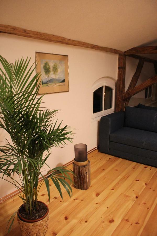 Ferienwohnung Goldgrund Gartenblick Meissen Bagian luar foto